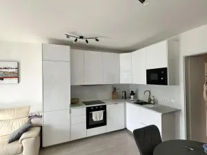 Pronájem bytu 2+kk, Praha - Žižkov, Hartigova, 55 m2