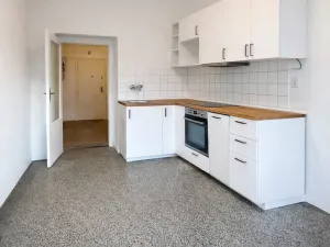 Pronájem bytu 1+1, Praha, Petra Rezka, 53 m2