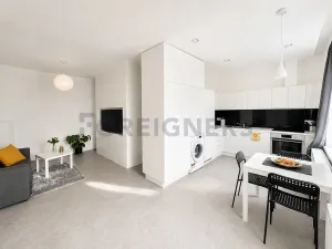 Pronájem bytu 1+kk, Plzeň, Kardinála Berana, 45 m2