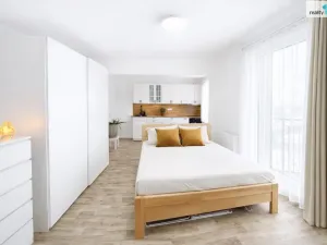 Pronájem bytu 1+kk, Nehvizdy, Vestecká, 38 m2