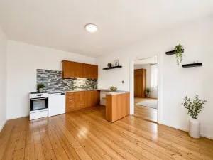 Prodej bytu 2+kk, Ústí nad Labem - Klíše, Klíšská, 54 m2