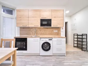 Pronájem bytu 1+1, Moravská Ostrava, Sokolská třída, 43 m2