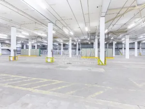 Pronájem výrobních prostor, Písek - Budějovické Předměstí, U Vodárny, 6421 m2