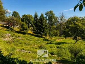 Prodej louky, Malá Skála, 1009 m2