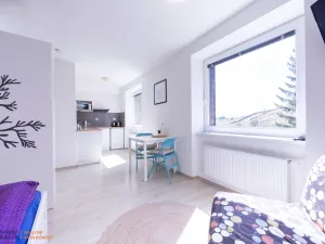 Prodej apartmánu, Staré Město - Stříbrnice, 30 m2