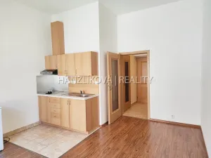 Pronájem bytu 1+kk, České Budějovice - České Budějovice 3, Riegrova, 30 m2