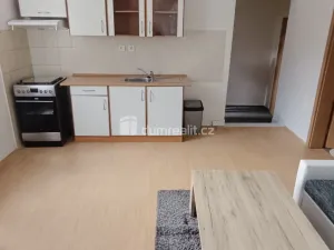 Pronájem bytu 1+1, Děčín - Děčín X-Bělá, Saská, 44 m2