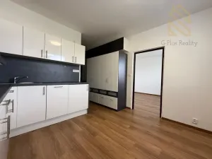 Pronájem bytu 1+1, Louny, Březinova, 37 m2