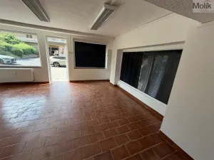 Pronájem kanceláře, Most, Růžová, 51 m2