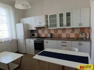 Pronájem bytu 1+1, Brno - Veveří, 57 m2