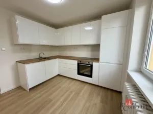 Pronájem bytu 1+1, Ostrava - Zábřeh, Kotlářova, 42 m2