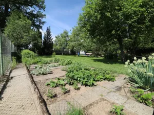Prodej zahrady, Jindřichův Hradec - Buk, 468 m2