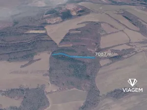 Prodej podílu lesa, Březůvky, 2952 m2