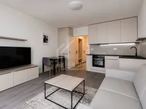 Pronájem bytu 1+kk, Praha, Pernerova, 32 m2
