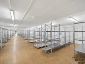 Pronájem skladu, Čeperka, 708 m2