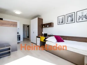 Pronájem bytu 1+kk, Plzeň-Jižní Předměstí, Magisterská, 29 m2