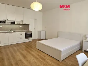 Pronájem bytu 1+kk, Plzeň - Východní Předměstí, Sladkovského, 36 m2