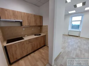 Pronájem bytu 2+kk, Krnov - Pod Cvilínem, Opavská, 46 m2