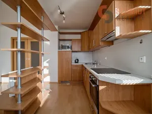 Pronájem bytu 2+kk, Břeclav, 50 m2