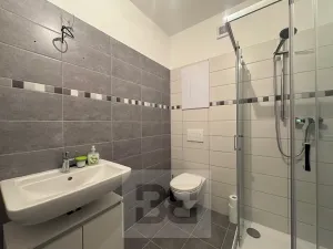 Pronájem bytu 1+kk, Polná, Pojmannova, 33 m2