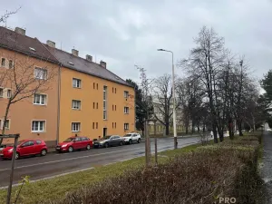 Pronájem bytu 2+1, Žatec, Husova, 77 m2