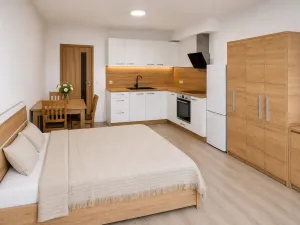 Pronájem bytu 1+kk, Olomouc, Edmunda Husserla, 29 m2