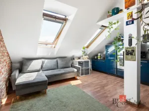 Prodej bytu 2+kk, Brno - Maloměřice, Karlova, 45 m2