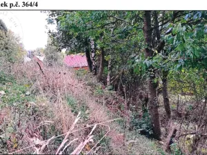 Prodej pozemku, Stráž nad Ohří, 2127 m2