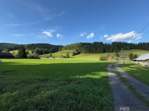 Prodej pozemku pro bydlení, Velké Karlovice, 17407 m2