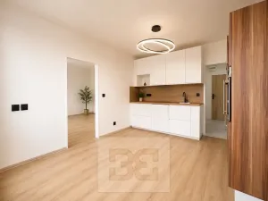 Pronájem bytu 2+kk, Brno, třída Generála Píky, 50 m2