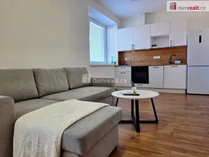Pronájem bytu 1+kk, Veselí nad Moravou, Svatoplukova, 37 m2