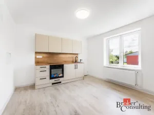 Prodej bytu 1+1, Frýdek-Místek - Frýdek, Křižíkova, 45 m2