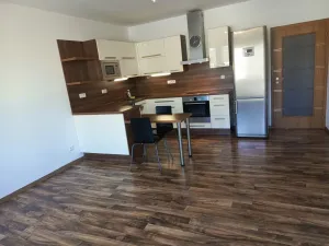 Pronájem bytu 2+kk, České Budějovice - České Budějovice 3, Nová, 48 m2