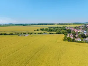 Prodej pozemku pro bydlení, Stěžery, Polní, 14692 m2
