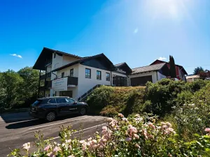 Prodej bytu 2+1, Železná Ruda, 55 m2