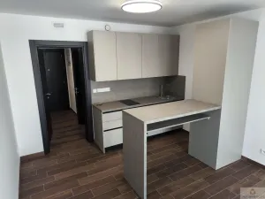 Pronájem bytu 1+kk, Olomouc - Nová Ulice, Třída Jiřího Pelikána, 33 m2