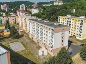 Prodej bytu 1+1, Ústí nad Labem, Mlýnská, 35 m2