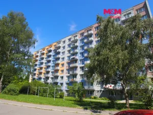 Pronájem bytu 1+kk, Milevsko, B. Němcové, 20 m2