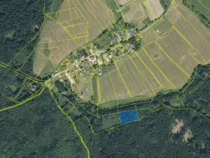 Prodej lesa, Mnichov - Vranov, 6298 m2
