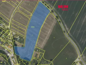 Prodej pozemku pro bydlení, Trhové Sviny - Rankov, 21384 m2