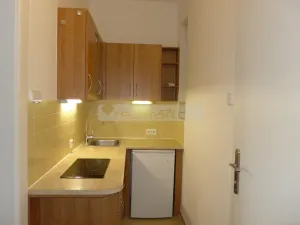 Pronájem bytu 1+kk, Plzeň - Jižní Předměstí, Na Jíkalce, 30 m2