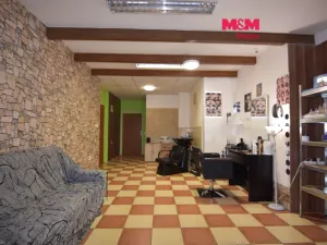 Pronájem obchodního prostoru, Mladá Boleslav - Mladá Boleslav II, Lukášova, 44 m2