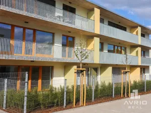 Pronájem bytu 1+kk, Brno, Ondřeje Sekory, 41 m2