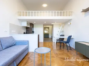 Pronájem bytu 1+kk, Praha - Karlín, Karlínské náměstí, 48 m2