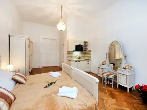 Pronájem bytu 1+kk, Praha - Nové Město, Vodičkova, 25 m2