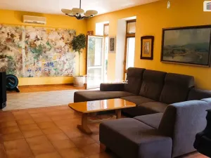 Prodej rodinného domu, Hodonín, Plucárna, 303 m2