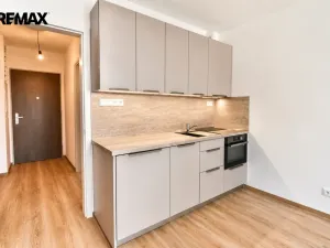 Pronájem bytu 1+kk, Hradec Králové - Nový Hradec Králové, Pod Zámečkem, 28 m2