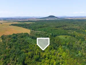 Prodej lesa, Jeviněves, 2859 m2