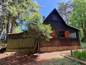 Prodej chaty, Borová, 53 m2
