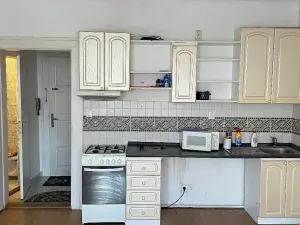 Pronájem bytu 1+kk, Plzeň, Skalní, 28 m2